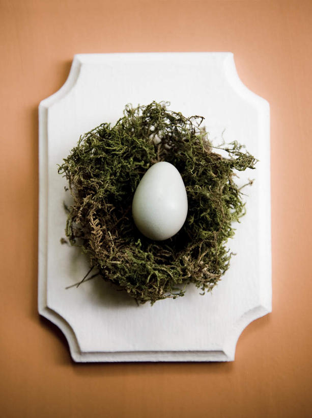 无人,竖图,俯视,室内,特写,白天,橙色背景,阴影,反射,鸟巢,鸟窝,影子,蛋,鸡蛋,案板,砧板,一个,摄影,影棚,单个,卵,彩图,高角度拍摄,影棚拍摄,拍摄