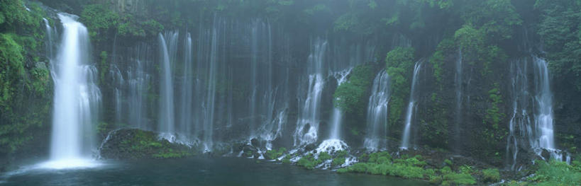 无人,横图,室外,白天,正面,旅游,度假,美景,瀑布,森林,树林,水,植物,雾,静冈县,日本,亚洲,飞溅,朦胧,模糊,壮观,溅,液体,景观,水滴,娱乐,树,树木,绿色,自然,享受,休闲,景色,放松,生长,成长,迷雾,雄伟,喷洒,自然风光,东亚,本州,本州岛,日本国,中部地方,静冈,跌水,涧,山涧,溪涧,大雾,彩图