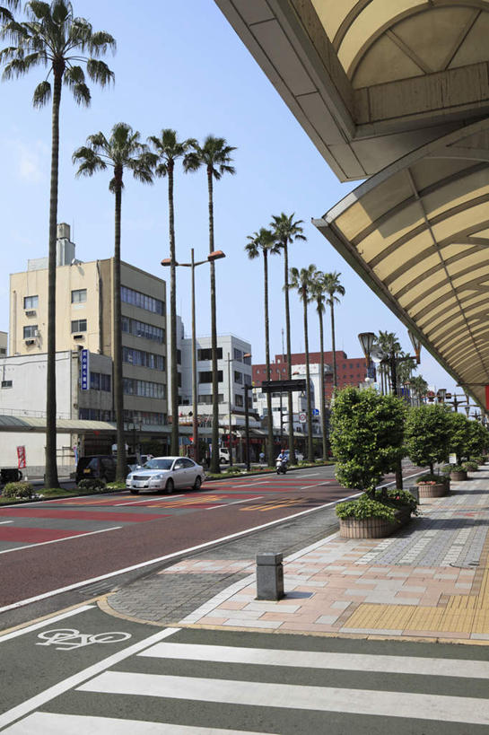 无人,竖图,室外,白天,正面,旅游,度假,美景,树林,植物,道路,路,公路,椰树,日本,亚洲,阴影,光线,影子,房屋,屋子,景观,分界线,停车线,交通,娱乐,楼房,树,树木,蓝色,绿色,蓝天,天空,阳光,自然,天,享受,休闲,景色,放松,生长,成长,车行道,车行道分界线,自然风光,标线,东亚,车行线,日本国,九州本岛,九州,九州岛,九州地方,宫崎,宫崎县,马路,彩图,房子