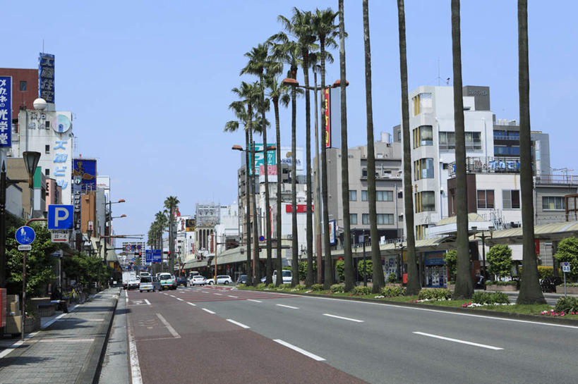 无人,家,横图,室外,白天,正面,旅游,度假,美景,植物,道路,路,公路,汽车,日本,亚洲,许多,阴影,光线,影子,房屋,屋子,景观,交通,娱乐,楼房,住宅,车,树,树木,排列,蓝色,绿色,蓝天,天空,阳光,自然,交通工具,轿车,天,行驶,享受,休闲,景色,放松,生长,成长,队列,东亚,日本国,九州本岛,九州,九州岛,九州地方,宫崎,宫崎县,马路,彩图,房子