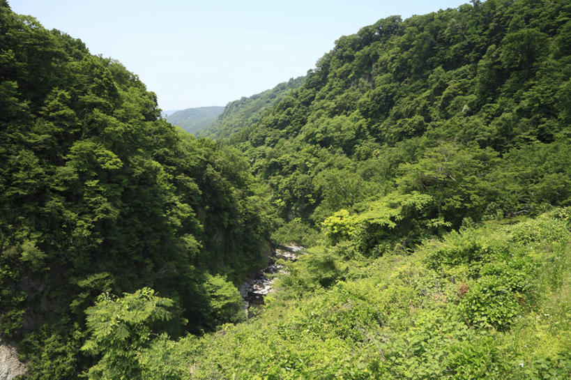 无人,横图,俯视,室外,白天,旅游,度假,美景,山,山脉,树林,植物,大分县,日本,亚洲,阴影,光线,影子,阶梯,景观,山峰,云,云朵,山峦,云彩,娱乐,台阶,树,树木,蓝色,绿色,白云,蓝天,天空,阳光,自然,群山,天,享受,休闲,石阶,景色,放松,生长,成长,自然风光,东亚,日本国,九州本岛,九州,九州岛,九州地方,大分,彩图,高角度拍摄