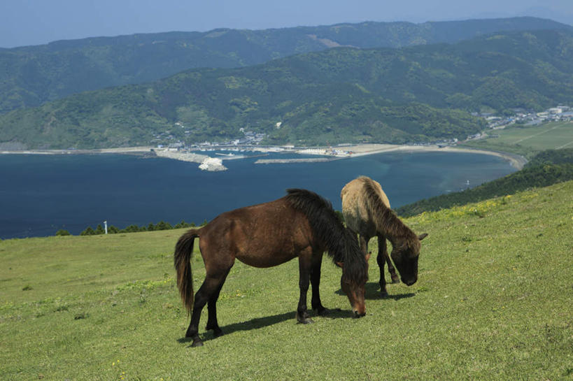 无人,吃,横图,室外,白天,正面,旅游,度假,草地,草坪,湖,湖泊,美景,山,山脉,水,植物,马,日本,亚洲,阴影,光线,影子,湖面,景观,山峰,水流,水面,山峦,娱乐,马匹,草,蓝色,绿色,蓝天,天空,阳光,自然,动物,湖水,群山,天,低头,享受,休闲,景色,放松,两匹,自然风光,东亚,日本国,九州本岛,九州,九州岛,九州地方,宫崎,宫崎县,嚼,食,彩图
