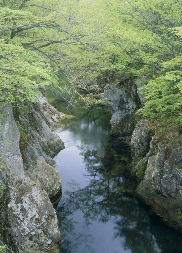 无人,竖图,俯视,室外,白天,旅游,度假,河流,石头,美景,树林,水,植物,日本,亚洲,许多,阴影,光线,石子,影子,河水,景观,水流,娱乐,树,树木,绿色,阳光,自然,享受,休闲,景色,放松,生长,成长,自然风光,东亚,本州,本州岛,日本国,青森,青森县,东北地方,涧,山涧,石块,溪涧,岩石,彩图,高角度拍摄