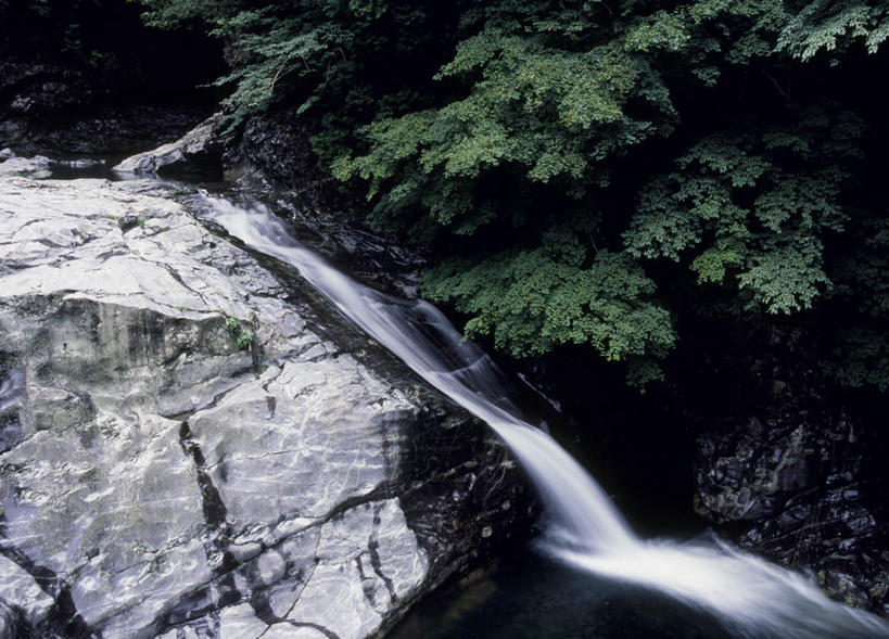 无人,横图,室外,白天,正面,旅游,度假,石头,美景,树林,植物,日本,亚洲,石子,景观,娱乐,树,树木,绿色,自然,享受,休闲,景色,放松,生长,成长,自然风光,东亚,本州,关东地方,本州岛,日本国,群马,群马县,涧,山涧,石块,溪涧,岩石,彩图