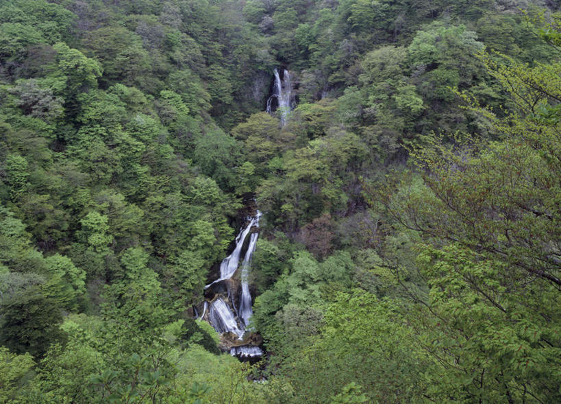 无人,横图,俯视,航拍,室外,白天,旅游,度假,石头,美景,树林,植物,日本,亚洲,许多,石子,景观,娱乐,树,树木,绿色,自然,享受,休闲,景色,放松,生长,成长,鸟瞰,自然风光,东亚,本州,关东地方,本州岛,日本国,栃木,栃木县,涧,山涧,石块,溪涧,岩石,彩图,高角度拍摄