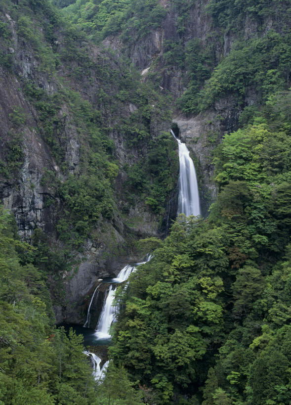 无人,竖图,俯视,室外,白天,旅游,度假,美景,瀑布,山,树林,水,植物,奈良县,日本,亚洲,飞溅,溅,液体,景观,山峰,悬崖,山峦,娱乐,树,树木,绿色,自然,享受,休闲,景色,放松,生长,成长,喷洒,自然风光,东亚,本州,本州岛,日本国,近畿地方,奈良,近畿,跌水,涧,山涧,溪涧,彩图,高角度拍摄