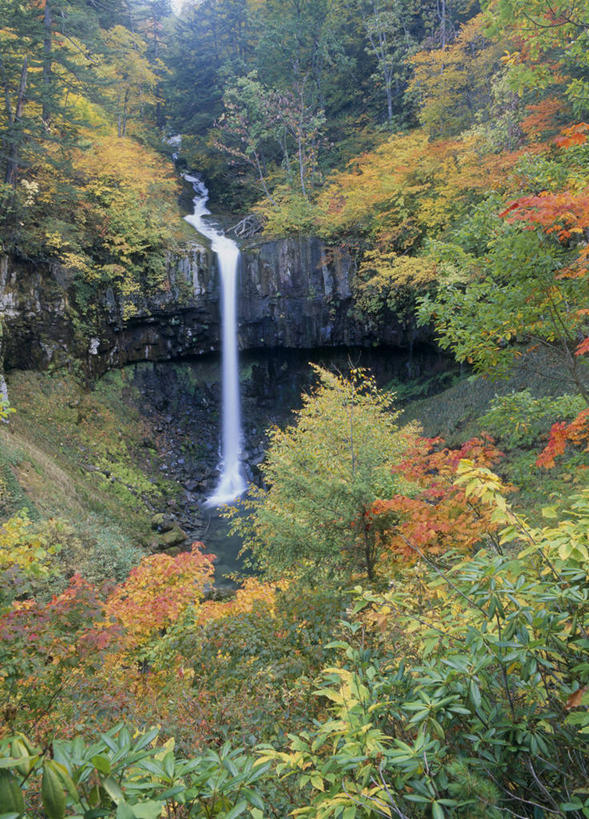 无人,竖图,室外,白天,正面,旅游,度假,河流,石头,美景,瀑布,森林,山,山脉,树林,水,植物,秋田县,日本,亚洲,飞溅,朦胧,模糊,溅,石子,液体,河水,景观,山顶,山峰,水滴,水流,山峦,娱乐,水珠,树,树木,绿色,小溪,自然,群山,溪水,享受,休闲,景色,放松,生长,成长,喷洒,自然风光,东亚,沉积岩,本州,本州岛,日本国,秋田,东北地方,颠峰,极峰,水成岩,跌水,石块,岩石,彩图,鹿角市