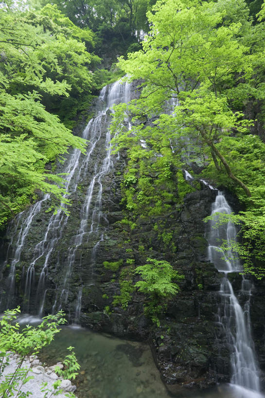 无人,竖图,室外,白天,正面,旅游,度假,美景,瀑布,山,树林,水,植物,日本,亚洲,阴影,飞溅,溅,光线,液体,影子,景观,山峰,山峦,娱乐,树,树木,绿色,阳光,自然,享受,休闲,石壁,景色,放松,生长,成长,喷洒,自然风光,东亚,本州,本州岛,日本国,中部地方,福井,福井县,跌水,涧,山涧,溪涧,彩图