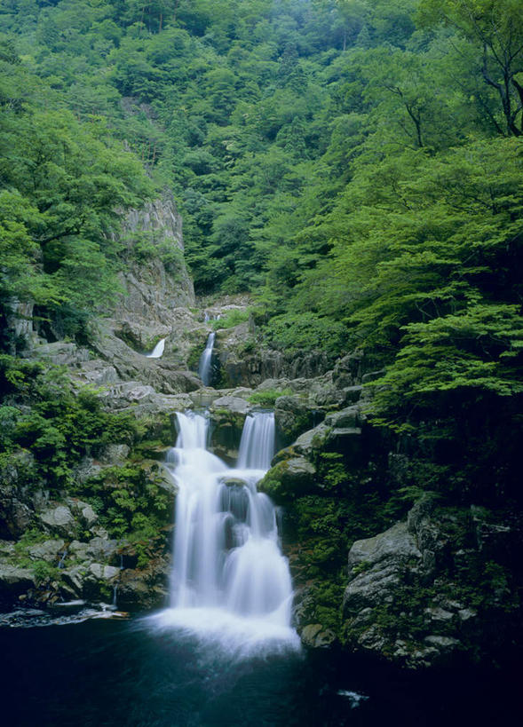 无人,竖图,室外,白天,仰视,旅游,度假,美景,瀑布,水,植物,广岛县,日本,亚洲,飞溅,溅,液体,景观,娱乐,树,树木,绿色,自然,享受,休闲,景色,放松,生长,成长,喷洒,自然风光,东亚,本州,本州岛,日本国,広岛,中国地方,跌水,涧,山涧,溪涧,彩图,低角度拍摄