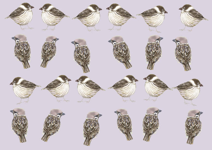 无人,站,横图,插画,室内,白天,正面,数码,科技,鸟,一排,许多,阴影,整齐,网络,麻雀,鸟类,高光,几何,计算机图形,合成,图画,画,排列,灰色,站着,电脑合成图,数码合成图,队列,漫画,写实,具体,具象,站立,彩图