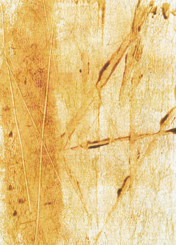 无人,竖图,插画,室内,白天,正面,数码,科技,阴影,网络,纹路,纹理,斑点,棕色,高光,几何,计算机图形,合成,图画,画,电脑合成图,数码合成图,米黄色,漫画,写实,具体,具象,彩图