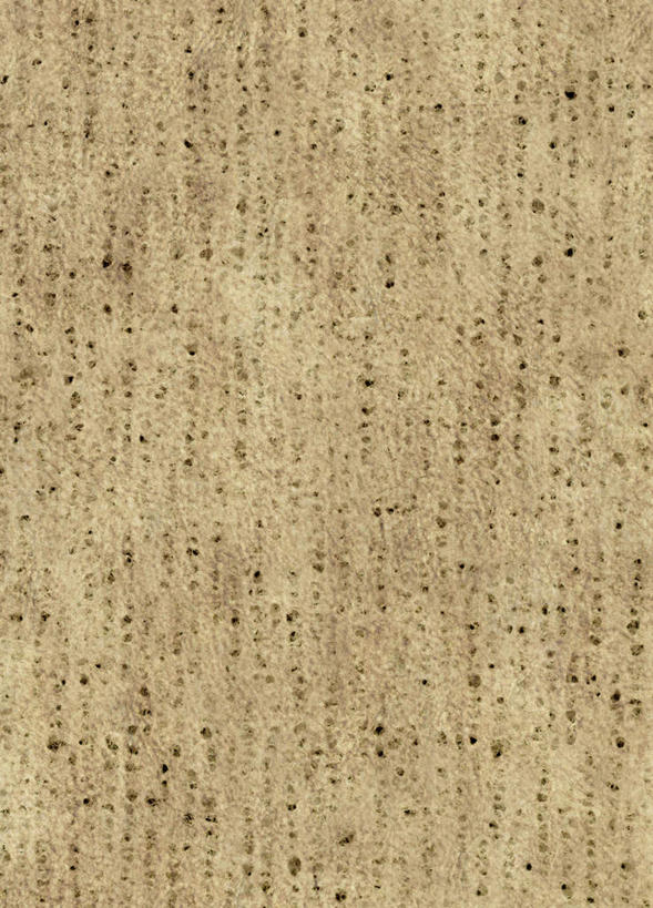 无人,竖图,插画,室内,白天,背景,正面,数码,科技,阴影,网络,纹路,图案,纹理,斑点,高光,几何,计算机图形,合成,图画,画,黑色,米色,电脑合成图,数码合成图,米黄色,漫画,写实,具体,具象,彩图