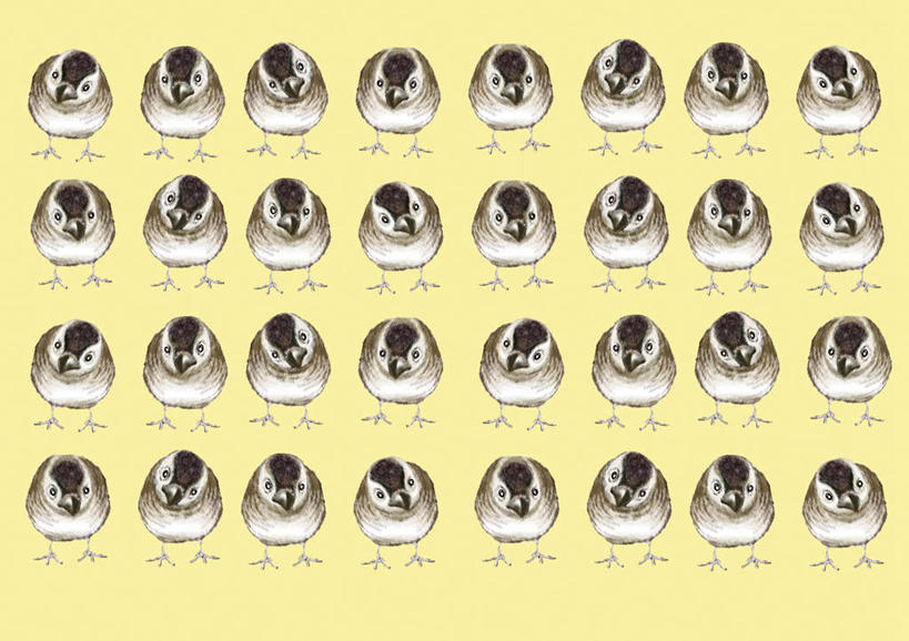 无人,站,横图,插画,室内,白天,正面,数码,科技,鸟,野生动物,一排,一群,许多,阴影,黄色背景,整齐,网络,麻雀,鸟类,高光,几何,计算机图形,合成,图画,画,排列,灰色,动物,站着,可爱,活泼,电脑合成图,数码合成图,队列,漫画,写实,具体,具象,站立,彩图