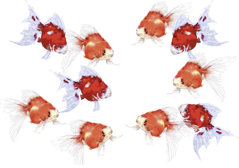 无人,横图,插画,室内,白天,白色背景,正面,数码,科技,野生动物,一群,许多,阴影,网络,金鱼,鱼,高光,几何,计算机图形,合成,图画,画,排列,黄色,红色,动物,可爱,活泼,电脑合成图,数码合成图,队列,漫画,写实,具体,具象,观赏鱼,金鲫鱼,彩图
