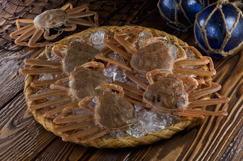 海鲜,蟹,无人,交叉,横图,俯视,室内,特写,白天,餐桌,桌子,竹子,玻璃,一堆,许多,阴影,堆叠,堆积,竹制,编织,反射,螃蟹,篮子,影子,冰,冰块,很多,冷冻,水产,海洋生物,玻璃制品,两个,一个,蓝色,竹篮,寒冷,冷藏,单个,餐台,竹条,堆,交织,冰冷,竹制品,水生动物,海产品,水生物,海底动物,保鲜,穿插,彩图,高角度拍摄,浮法玻璃