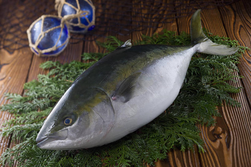 海鲜,无人,横图,俯视,室内,特写,白天,餐桌,桌子,叶子,玻璃,一条,阴影,反射,鱼,影子,绿叶,水产,鱼类,海洋生物,玻璃制品,两个,蓝色,嫩叶,餐台,水生动物,海产品,水生物,海底动物,叶,叶片,彩图,高角度拍摄,浮法玻璃