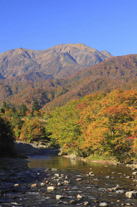 无人,竖图,室外,白天,正面,旅游,度假,河流,石头,美景,秋季,森林,山,山脉,树林,水,植物,叶子,日本,亚洲,阴影,光线,石子,影子,河水,景观,山峰,水流,枯叶,落叶,山峦,娱乐,树,树木,蓝色,绿色,蓝天,天空,阳光,自然,群山,天,享受,休闲,景色,放松,生长,晴朗,成长,自然风光,东亚,本州,万里无云,本州岛,日本国,中部地方,新潟,新潟县,叶,叶片,石块,岩石,晴空,晴空万里,秋,秋天,彩图,鱼沼市