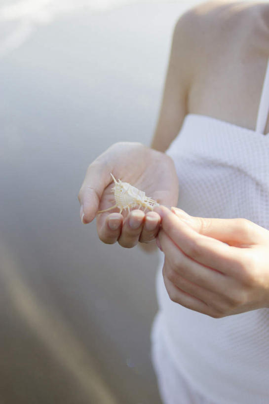 东方人,一个人,站,竖图,俯视,室外,白天,沙滩,贝壳,亚洲,仅一个年轻女性,仅一个女性,仅一个人,握,阴影,服装,光线,沙子,影子,海岸,沙地,拿,拿着,注视,休闲装,黄种人,一个,衣服,白色,阳光,观察,看,站着,休闲,休闲服,握着,服饰,单个,观看,察看,关注,年轻女性,女人,女性,亚洲人,贝类外壳,海螺壳,软体动物外壳,海滩,站立,半身,彩图,高角度拍摄