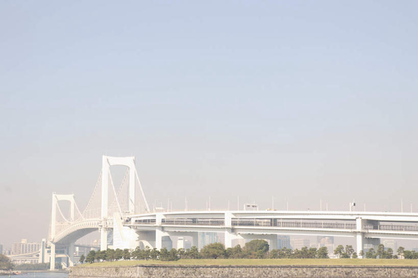 无人,横图,室外,白天,正面,度假,草地,草坪,美景,植物,城市风光,城市,大桥,建筑,立交桥,桥梁,阴影,光线,影子,景观,高架,建筑群,斜拉桥,娱乐,建设,草,树,树木,蓝色,绿色,蓝天,天空,阳光,自然,天,享受,休闲,景色,放松,生长,成长,彩图