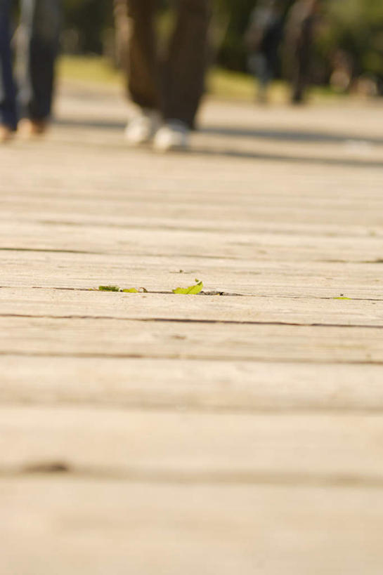 两个人,伙伴,朋友,走,竖图,室外,白天,正面,友谊,阴影,服装,朦胧,模糊,光线,木板,影子,注视,休闲装,衣服,阳光,观察,看,休闲,休闲服,服饰,观看,察看,关注,友情,年轻女性,女人,女性,步行,散步,走路,半身,彩图