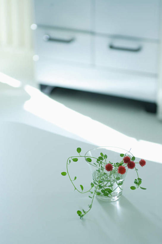 无人,家,竖图,俯视,室内,白天,柜子,家具,装修,桌子,建筑,杯子,装饰,盛开,房屋,屋子,花蕾,建设,装潢,楼房,住宅,花,花瓣,花朵,鲜花,水杯,室内装潢,花苞,花蕊,明亮,舒适,家居装潢,房屋设计,室内设计,宽敞,样板房装潢,设计,茶杯,彩图,高角度拍摄,房子