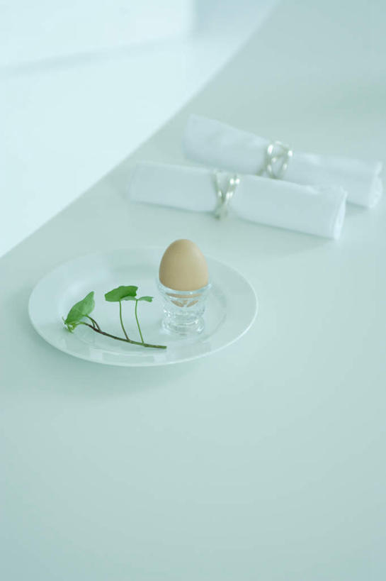 无人,竖图,俯视,室内,白天,餐桌,桌子,餐具,叶子,环保,蛋格,碟子,盘,蛋,鸡蛋,食品,绿叶,食物,一个,盘子,碟,纸巾,嫩叶,单个,餐台,回收,资源,利用,低碳,循环,蛋托,蛋盒,卵,叶,叶片,彩图,高角度拍摄