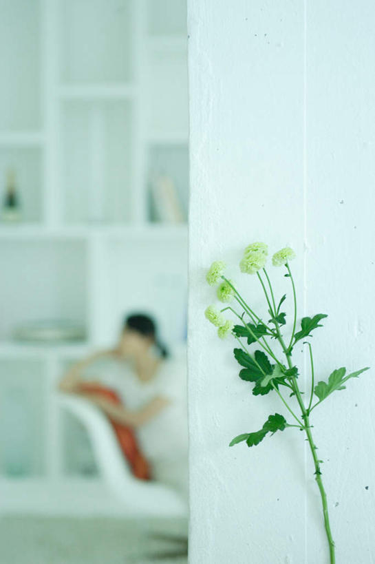 东方人,一个人,客厅,坐,竖图,室内,白天,侧面,沙发,叶子,亚洲,仅一个年轻女性,仅一个女性,仅一个人,撑,服装,朦胧,模糊,绿叶,注视,休闲装,黄种人,衣服,观察,看,休闲,休闲服,嫩叶,服饰,观看,察看,起居室,撑着,关注,年轻女性,女人,女性,亚洲人,叶,叶片,坐着,半身,彩图,皮沙发