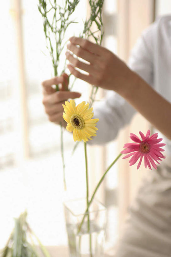 东方人,一个人,站,竖图,室内,白天,正面,快乐,幸福,亚洲,仅一个年轻女性,仅一个女性,仅一个人,服装,盛开,玛格丽特,拿,花蕾,拿着,注视,休闲装,黄种人,雏菊,花,花瓣,花朵,鲜花,衣服,花苞,花蕊,观察,看,站着,休闲,休闲服,菊花,活力,服饰,观看,希望,察看,坚强,关注,和平,离别,延命菊,幸福花,春菊,马兰头花,暗恋,纯情,单恋,天真,年轻女性,女人,女性,亚洲人,站立,半身,彩图,愉快