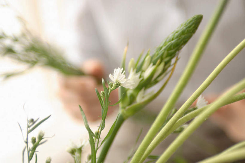 东方人,一个人,站,横图,室内,白天,正面,亚洲,仅一个年轻女性,仅一个女性,仅一个人,服装,朦胧,模糊,盛开,拿,花蕾,拿着,注视,休闲装,黄种人,花,花瓣,花朵,鲜花,衣服,花苞,花蕊,观察,看,站着,休闲,休闲服,服饰,观看,察看,关注,年轻女性,女人,女性,亚洲人,站立,半身,彩图