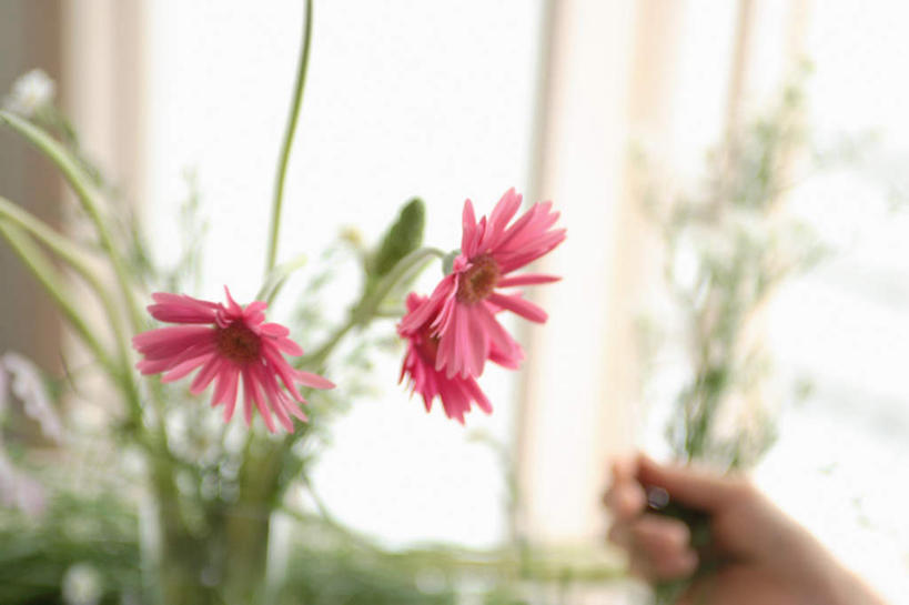 东方人,一个人,站,横图,室内,白天,侧面,快乐,幸福,亚洲,仅一个年轻女性,仅一个女性,仅一个人,服装,朦胧,模糊,盛开,玛格丽特,拿,花蕾,拿着,注视,休闲装,黄种人,雏菊,花,花瓣,花朵,鲜花,衣服,花苞,花蕊,观察,看,站着,休闲,休闲服,菊花,活力,服饰,观看,希望,察看,坚强,关注,和平,离别,延命菊,幸福花,春菊,马兰头花,暗恋,纯情,单恋,天真,年轻女性,女人,女性,亚洲人,半身,彩图,愉快