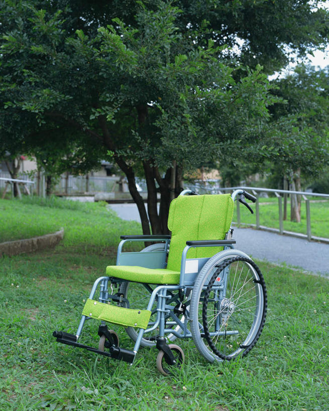 无人,栏杆,竖图,室外,白天,正面,草地,草坪,植物,道路,路,静物,一辆,工具,围栏,小路,交通,护栏,草,树,树木,绿色,自然,轮椅,复健,康复,器械,生长,成长,医疗设备,医疗器械,医疗工具,辅助设备,彩图