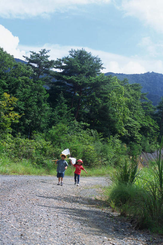 东方人,儿童,两个人,家庭,跑,竖图,室外,白天,正面,纯洁,草地,草坪,植物,道路,路,亚洲,服装,小路,捕虫网,交通,拿,拿着,注视,休闲装,黄种人,草,树,树木,小孩,衣服,绿色,自然,观察,看,休闲,温暖,温馨,一家人,休闲服,可爱,童年,童趣,服饰,生长,成长,观看,扫网,水网,和睦,察看,关注,童真,烂漫,无邪,扑网,天真,男孩,男人,男性,女孩,女人,女性,亚洲人,孩子,跑步,彩图,全身,融洽,男生,女生