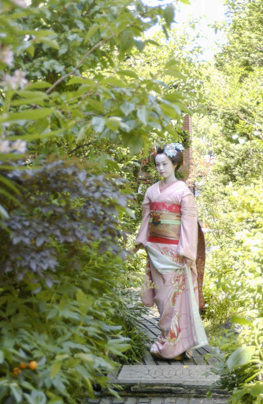 东方人,一个人,站,竖图,室外,白天,正面,民族服装,植物,叶子,亚洲,仅一个年轻女性,仅一个女性,仅一个人,和服,枯叶,落叶,注视,黄种人,树,树木,绿色,自然,观察,看,站着,服饰,生长,成长,观看,察看,关注,艺妓,吴服,唐草,唐花,唐锦,年轻女性,女人,女性,亚洲人,叶,叶片,站立,彩图,全身,传统服装,民俗服