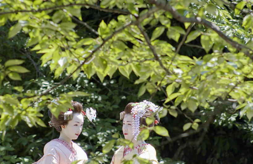 东方人,两个人,伙伴,朋友,站,横图,室外,白天,正面,民族服装,友谊,植物,叶子,亚洲,和服,装饰,头饰,枯叶,落叶,注视,黄种人,树,树木,绿色,自然,观察,看,站着,服饰,生长,成长,观看,华丽,修饰,点缀,察看,关注,艺妓,吴服,唐草,唐花,唐锦,衬托,美观,雅致,雅观,友情,年轻女性,女人,女性,亚洲人,叶,叶片,站立,半身,彩图,传统服装,民俗服