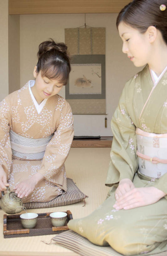 东方人,两个人,伙伴,朋友,客厅,坐,竖图,室内,白天,正面,民族服装,友谊,杯子,亚洲,和服,服装,壶,墙,榻榻米,拿,拿着,注视,休闲装,黄种人,壁画,墙壁,墙面,水壶,衣服,茶壶,水杯,观察,看,休闲,休闲服,服饰,观看,察看,起居室,关注,吴服,唐草,唐花,唐锦,友情,年轻女性,女人,女性,亚洲人,茶杯,坐着,半身,彩图,传统服装,民俗服