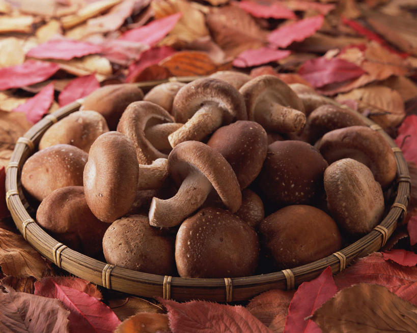 无人,交叉,横图,俯视,室内,特写,白天,餐桌,桌子,竹子,蔬菜,叶子,阴影,竹制,新鲜,编织,光线,篮子,影子,菌菇,香菇,食品,枯叶,落叶,菌类,食物,竹篮,食用菌,有机食品,绿色食品,餐台,竹条,交织,竹制品,穿插,叶,叶片,彩图,高角度拍摄