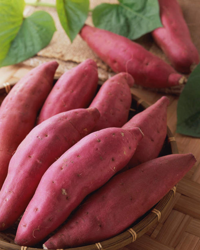 无人,交叉,竖图,俯视,室内,特写,白天,餐桌,桌子,竹子,红薯,蔬菜,叶子,阴影,竹制,新鲜,编织,光线,篮子,影子,食品,枯叶,落叶,食物,竹篮,有机食品,绿色食品,餐台,竹条,交织,竹制品,穿插,叶,叶片,山芋,甘薯,番薯,地瓜,彩图,高角度拍摄