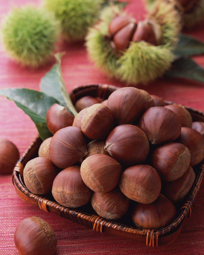 无人,交叉,竖图,俯视,室内,特写,白天,餐桌,桌子,竹子,蔬菜,许多,阴影,竹制,新鲜,编织,光线,篮子,影子,板栗,栗子,食品,坚果,毛栗子,很多,食物,竹篮,有机食品,绿色食品,餐台,竹条,交织,竹制品,毛栗,栗果,栗楔,穿插,彩图,高角度拍摄