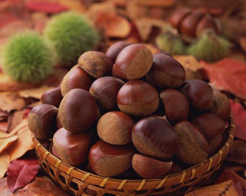 无人,交叉,横图,俯视,室内,特写,白天,餐桌,桌子,竹子,蔬菜,许多,阴影,竹制,新鲜,编织,光线,篮子,影子,板栗,栗子,食品,坚果,毛栗子,很多,食物,竹篮,有机食品,绿色食品,餐台,竹条,交织,竹制品,毛栗,栗果,栗楔,穿插,彩图,高角度拍摄