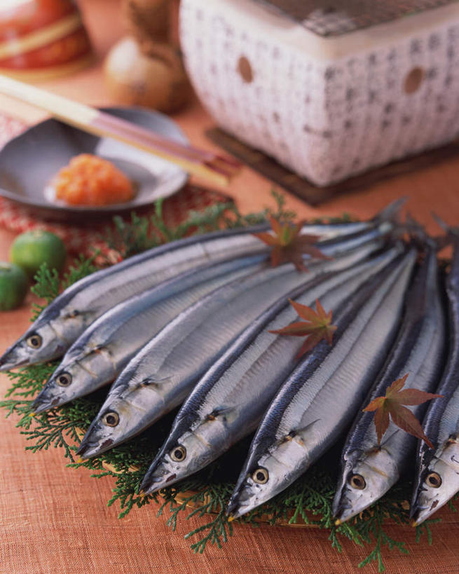 海鲜,无人,竖图,俯视,室内,特写,白天,烹饪,餐桌,桌子,一排,许多,阴影,整齐,光线,影子,日本料理,料理,食品,很多,鲔鱼,水产,金枪鱼,菜肴,美食,海洋生物,食物,排列,日式料理,日式,佳肴,餐台,吞拿鱼,队列,水生动物,海产品,水生物,海底动物,彩图,高角度拍摄