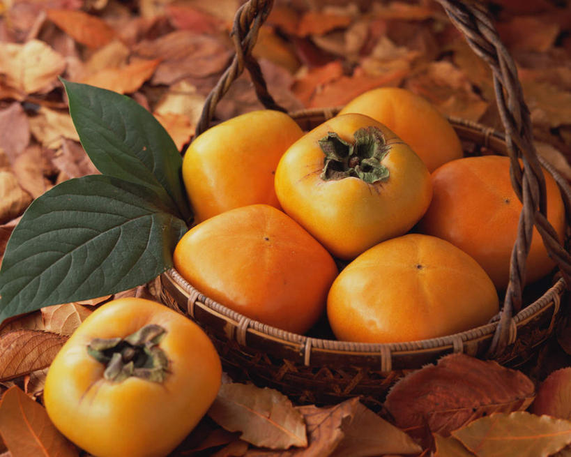 无人,交叉,横图,俯视,室内,特写,白天,餐桌,桌子,竹子,柿子,水果,叶子,一堆,许多,阴影,堆叠,堆积,竹制,新鲜,编织,光线,篮子,影子,生食,食品,果实,枯叶,落叶,很多,食物,黄色,竹篮,有机食品,绿色食品,餐台,竹条,堆,交织,竹制品,穿插,叶,叶片,彩图,高角度拍摄