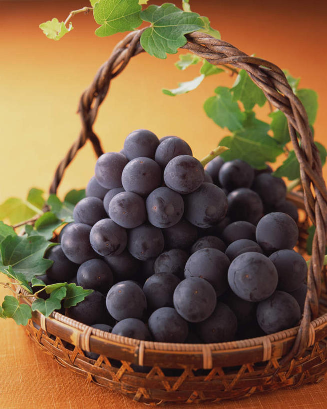 无人,交叉,竖图,俯视,室内,特写,白天,竹子,葡萄,水果,许多,黄色背景,竹制,新鲜,编织,篮子,生食,食品,果实,很多,食物,一个,紫色,竹篮,摄影,有机食品,绿色食品,影棚,单个,竹条,交织,竹制品,穿插,山葫芦,蒲桃,草龙珠,彩图,高角度拍摄,影棚拍摄,拍摄