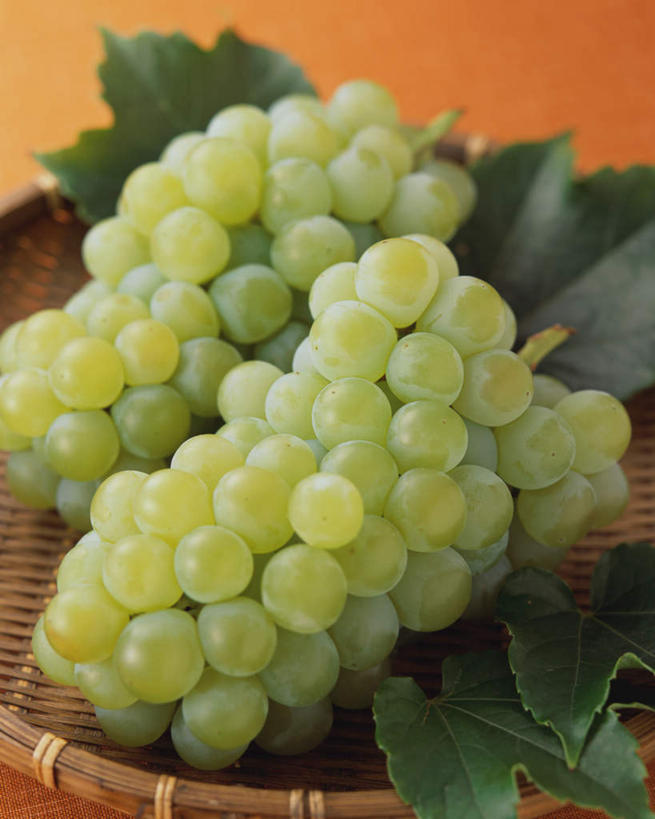 无人,交叉,竖图,俯视,室内,特写,白天,竹子,葡萄,水果,许多,黄色背景,竹制,新鲜,编织,篮子,生食,食品,果实,很多,食物,一个,绿色,竹篮,摄影,有机食品,绿色食品,影棚,单个,竹条,交织,竹制品,穿插,山葫芦,蒲桃,草龙珠,彩图,高角度拍摄,影棚拍摄,拍摄