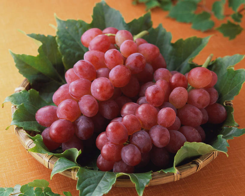 无人,交叉,横图,俯视,室内,特写,白天,竹子,葡萄,水果,许多,黄色背景,竹制,新鲜,编织,篮子,生食,食品,果实,很多,食物,一个,红色,竹篮,摄影,有机食品,绿色食品,影棚,单个,竹条,交织,竹制品,穿插,山葫芦,蒲桃,草龙珠,彩图,高角度拍摄,影棚拍摄,拍摄