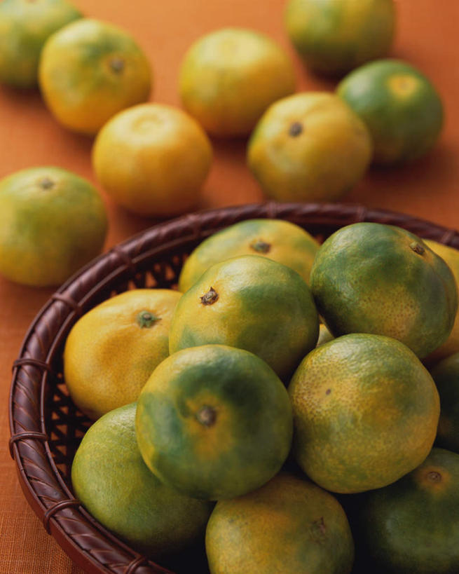 无人,交叉,竖图,俯视,室内,特写,白天,餐桌,桌子,竹子,柑橘,水果,许多,阴影,竹制,新鲜,编织,光线,篮子,影子,生食,食品,果实,很多,食物,绿色,竹篮,有机食品,绿色食品,餐台,竹条,交织,竹制品,穿插,橘子,桔子,橙子,橙,彩图,高角度拍摄