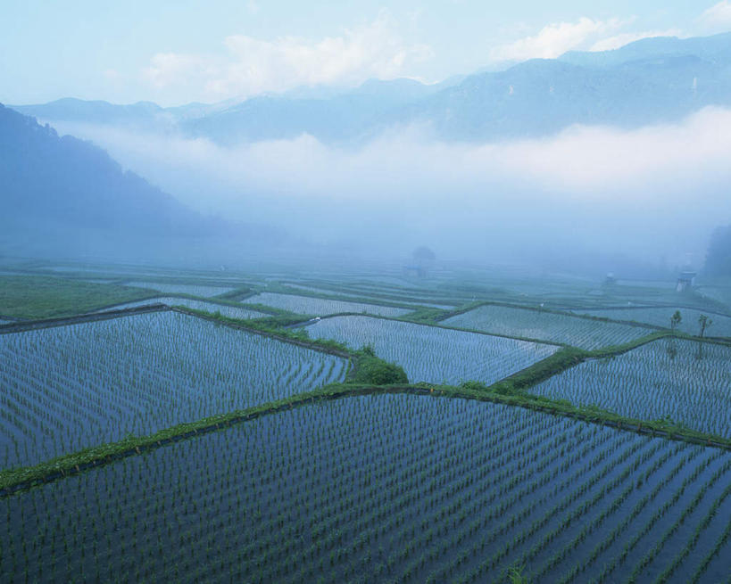 无人,农田,横图,俯视,室外,白天,旅游,度假,农业,庄稼,农作物,草地,草坪,美景,山,山脉,植物,雾,长野县,日本,亚洲,阴影,朦胧,模糊,光线,影子,稻田,景观,山峰,云,云朵,山峦,云彩,娱乐,草,树,树木,蓝色,绿色,白云,蓝天,天空,阳光,自然,群山,天,享受,休闲,景色,放松,生长,晴朗,成长,迷雾,自然风光,东亚,本州,本州岛,日本国,中部地方,长野,大雾,晴空,彩图,高角度拍摄,耕地,庄稼田