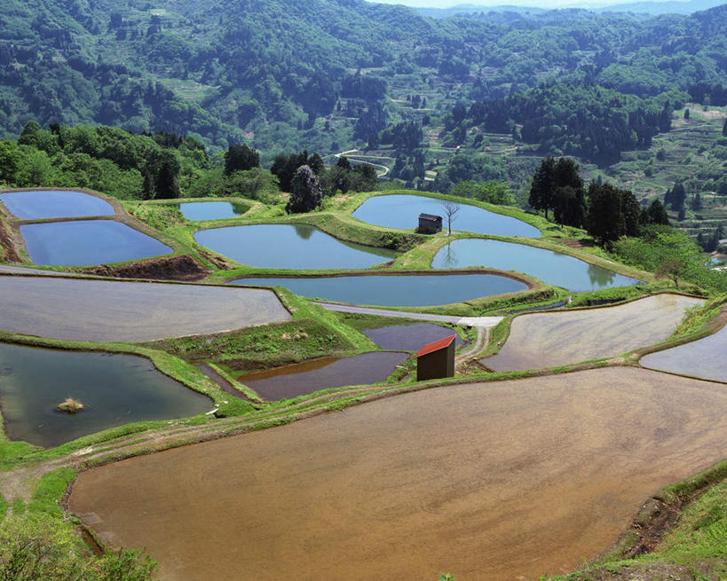 无人,农田,横图,俯视,室外,白天,旅游,度假,农业,庄稼,农作物,草地,草坪,美景,山,山脉,植物,长野县,日本,亚洲,阴影,光线,影子,稻田,景观,山峰,云,云朵,山峦,云彩,娱乐,草,树,树木,蓝色,绿色,白云,蓝天,天空,阳光,自然,群山,天,享受,休闲,景色,放松,生长,晴朗,成长,自然风光,东亚,本州,本州岛,日本国,中部地方,长野,晴空,彩图,高角度拍摄,耕地,庄稼田