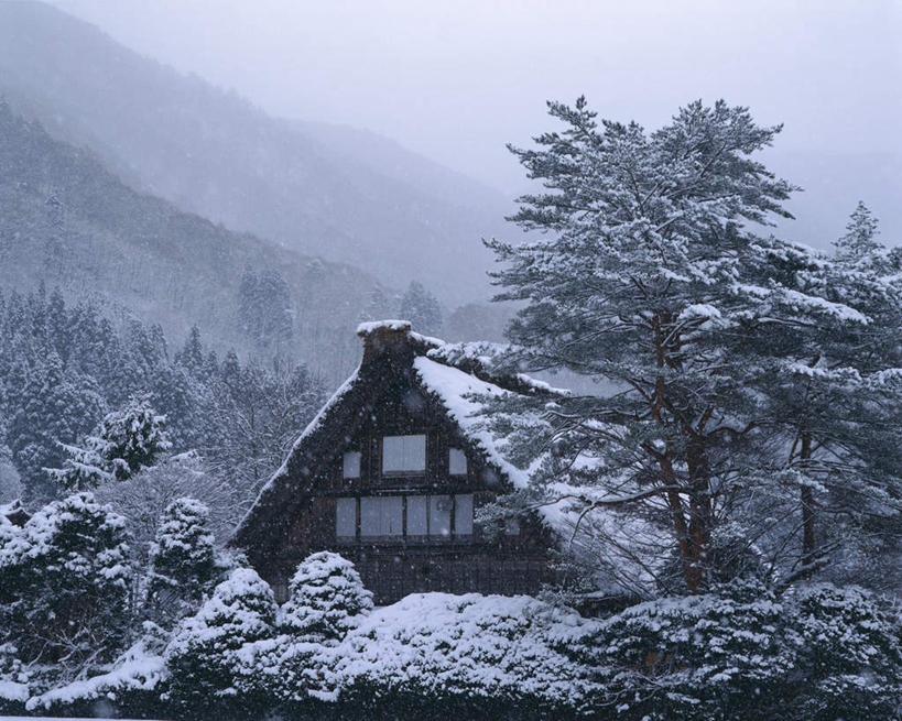 无人,家,横图,室外,白天,正面,旅游,度假,美景,雪,植物,雾,大雪,日本,亚洲,阴影,朦胧,模糊,光线,影子,房屋,屋顶,屋子,积雪,景观,雪景,冬季,冬天,顶棚,娱乐,楼房,住宅,树,树木,绿色,阳光,自然,享受,休闲,景色,放松,寒冷,生长,成长,迷雾,自然风光,东亚,本州,本州岛,日本国,中部地方,岐阜,岐阜县,严寒,大雾,彩图,房子