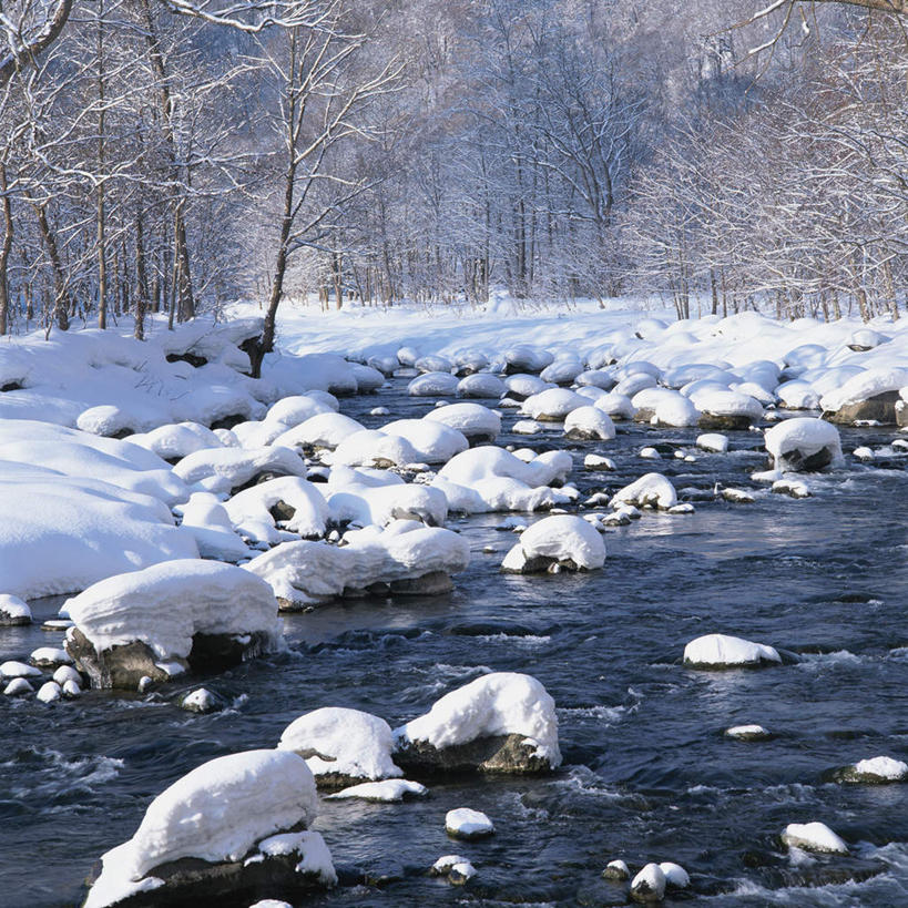 无人,方图,室外,白天,正面,旅游,度假,河流,美景,水,雪,植物,大雪,日本,亚洲,阴影,波纹,光线,影子,河水,积雪,景观,水流,雪景,冬季,冬天,涟漪,娱乐,树,树木,绿色,水纹,阳光,自然,波浪,享受,休闲,景色,放松,寒冷,生长,成长,自然风光,东亚,本州,本州岛,日本国,水晕,青森,青森县,东北地方,严寒,彩图