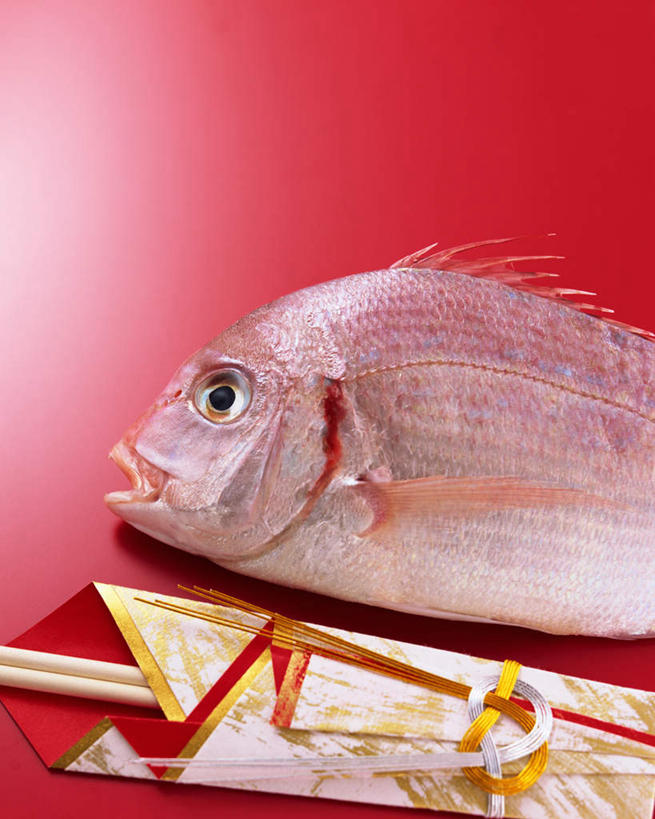海鲜,无人,竖图,俯视,室内,特写,白天,烹饪,餐桌,桌子,餐具,一条,阴影,红色背景,光线,碟子,盘,影子,日本料理,料理,食品,鲷鱼,水产,菜肴,美食,海洋生物,食物,盘子,碟,日式料理,日式,摄影,佳肴,影棚,餐台,鲷,加吉鱼,铜盆鱼,水生动物,海产品,水生物,海底动物,班加吉,加真鲷,彩图,高角度拍摄,影棚拍摄,拍摄